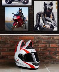 Collected images of happy customers by motorcycle helmet brands: Cat Ear Motorcycle Full Helmet Season Men Women Racing Helmet Motocross Protect Ebay