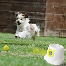 Fetching Ball Is Most Dog S Favorite Game Our Fetch Machine Will Provide A Fun Experience For You And Your In 2020 Ball Launcher Automatic Ball Launcher Mini Automatic