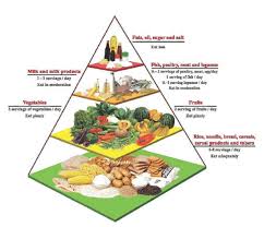 The Malaysian Food Pyramid Download Scientific Diagram