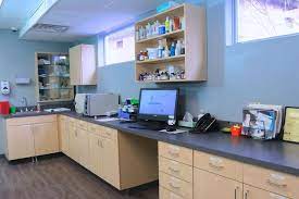 County line pet hospital (2.64miles). 9 South Suburban Low Cost Veterinary Services Chicago Heights Il Ideas Veterinary Services Veterinary Chicago Heights