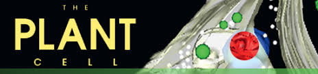 We did not find results for: Plantae Focus Issue Plant Cell Biology Submissions Due May 1 2021 Plantae