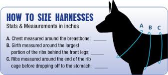 Unmistakable Dog Size Comparison Chart English Mastiff