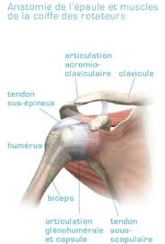 Tout comprendre en 2 min. Quels Sont Les Symptomes Necessitant L Operation Du Labrum De L Epaule Exception Md