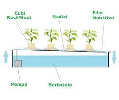 Sistema Idroponico Nft Botanica Urbana Grow Shop