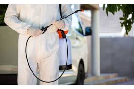 Ojai termite & pest control is the best company around. Everready Termite Pest Control In Ojai Ca