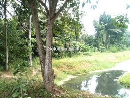 Ok nexttt majlis perbandaran sungai petani pulakk. Land Zone Industrial Industrial Land For Sale In Sungai Petani Kedah Iproperty Com My