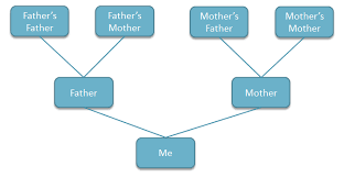 How To Create A Family Tree In Powerpoint Using Shapes