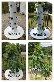 This is built using cheap food grade components with a focus on using materials that are easily sourced or. 85 Aeroponics Ideas Aeroponics Aquaponics Hydroponics