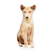 Do you want pillow made out of your friend or car that you always dream of? Pin On Creative Custom Pet Photo Pillows Id Tags And Key Chains 2018