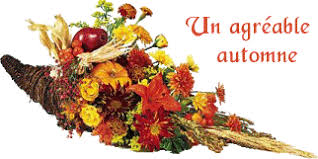 Résultat de recherche d'images pour "coeur en fleurs d'automne"