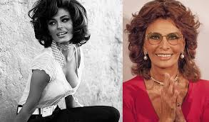 Bringing you the latest on sophia loren. 10 Stars Then And Now Sophia Loren Stars Then And Now Ageless Beauty