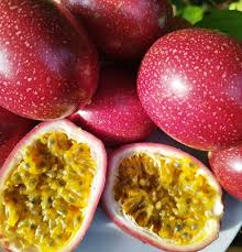 Image result for Passiflora edulis