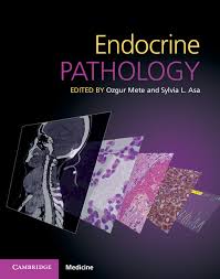 Radiological Imaging Chapter 5 Endocrine Pathology