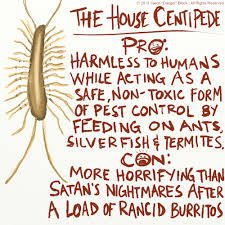 Good Guy House Centipede Imgur Centipede This Or That Questions Nightmare