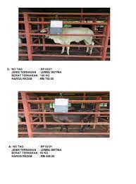 קוואנטאן / jabatan perkhidmatan veterinar negeri pahang. Va0gg5hpmhwe7m