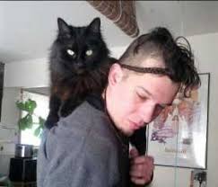 Dog Walking in Madison, WI. East si, Madison