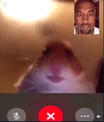 Hamster Facetime Kanye Staring Hamster Know Your Meme