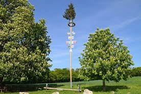 Mai eine mit krepppapier geschmückte birke in den vorgarten. Der Maibaum Maypole German Language Blog