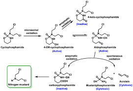 Image result for Alkylating Agent
