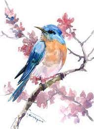 eastern bluebird original watercolor painting bird watching bird watching gift birds bird art bird pai suluboya sanati sanatsal resimler suluboya resimler