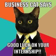 Pin On Career Quotes