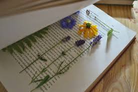 Dazu gibt es beschriftungen zu den pflanzenteilen, den besonderen merkmalen, zum fundort und einigem mehr. Herbarium Anlegen Tipps Techniken Zum Trocknen Der Blumen