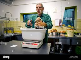 Male Zookeeper High Resolution Stock Photography And Images Alamy