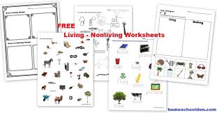 free living and nonliving cards and worksheets homeschool den