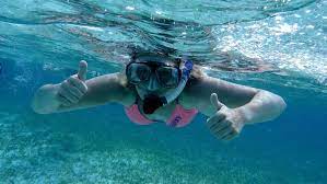 The Five Best Places To Go Snorkelling In Sydney