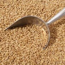 Pearl Barley Buy Whole Foods In Bulk Organic Food For Organic Delivery Melbourne