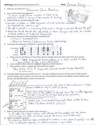 Given in pea plants that green (g) is dominant over yellow (y), answer the following: Ib Biotechnology Review Key 3 5