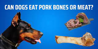 Can Dogs Eat Pork Bones Or Meat