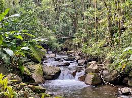 Conservation Land for Sale in Toro ...