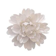 Now we have grown into the retail market and increased our portfolio with exclusive representations of several tile companies from. Alycaso Peony Ceramic Flower Wall Decor Artificial 3d Flower Wall Art For Living Room Home Hallway Bedroom Kitchen Farmhouse Bathroom Dining Room White 4 72 Inch Buy Online In Barbados At Barbados Desertcart Com Productid