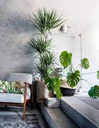 Pin Di Mm Su Rustic Industrial Decor Decorazione Di Casa Naturale Decorazioni Vegetali Arredamento Piante Da Interni