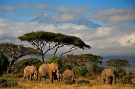 Stay in some of the world's most luxurious and intimate safari lodges and camps. Kenia Rundreise Diese 20 Abenteuer Darfst Du In Kenia Nicht Verpassen