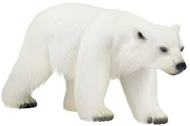 Polar Bear Bear Clip Art Vector Bear Graphics Image 2 Polar Bear Polar Bear Illustration Bear Clipart