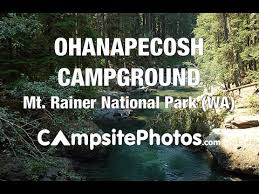 The ux opportunity was to improve the type and hierarchy of information offered on the park's website, making it a more trusted planning resource. Ohanapecosh Campground Mount Rainier National Park Washington Campsite Photos Youtube