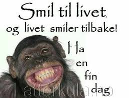 Bilderesultat for smil