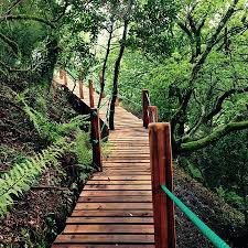 Zelar pelo cumprimento das disposições legais e regulamentares referentes a conservação e proteção da natureza e do meio ambiente, dos recursos hídricos, dos solos e da riqueza cinegética, piscícola, florestal ou outra, previstas na legislação ambiental, bem como investigar e reprimir os respetivos ilícitos; Arcos De Valdevez Fotos Besondere Arcos De Valdevez Viana Do Castelo District Bilder Tripadvisor