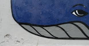 Kursi sofa sudut warna biru laut minimalis; 33 Gambar Kartun Ikan Paus Hitam Putih Gambar Putih Jendela Kaca Jumlah Dinding Warna Biru Download Berbagai Macam Gambar I Kartun Gambar Kartun Ikan Paus