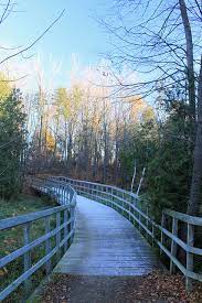 We walked on the vicki barron lakeside trail. More About Island Lake Conservation Area Credit Valley Conservation Credit Valley Conservation
