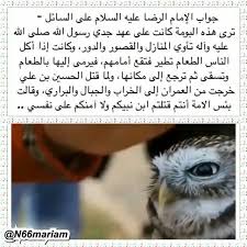 جواب الامام الرضا عليه السلام Owl Animals