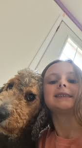 Country Paws Grooming