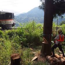 jr線路脇の支障木伐採を行いました firewood wood