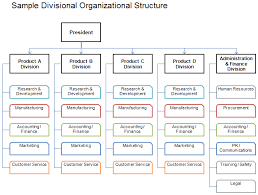 Company Structure Chart Guatemalago