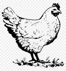 50 high quality collection of chicken black and white clipart by clipartmag. Baby Chicks Clipart 20 Chicken Black And White Free Transparent Png Clipart Images Download