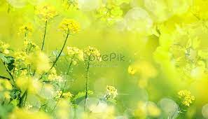25 lukisan pemandangan yang indah. Pemandangan Musim Bunga Yang Indah Gambar Unduh Gratis Imej 401034407 Format Psd My Lovepik Com