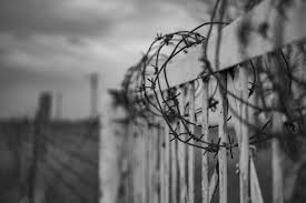 The premium and stockyards standard barbed wire has a thicker galvanized zinc coating (class 1) and the premium meets spec. Wire Fence Images Free Vectors Stock Photos Psd