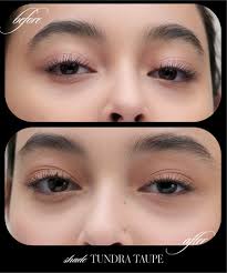 RMS Beauty Cashmere Matte Eyelights